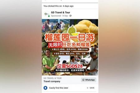 Woman loses over $110,000 after downloading third-party app to buy durian tour ticket