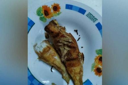 Senior citizen in Johor dies after eating pufferfish