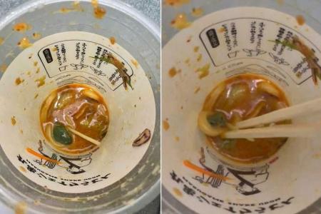 Udon chain in Japan apologises after diner finds live frog in takeaway cup of noodles