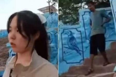 Korean blogger harassed in India: Man stalks, flashes her as she video-blogs 