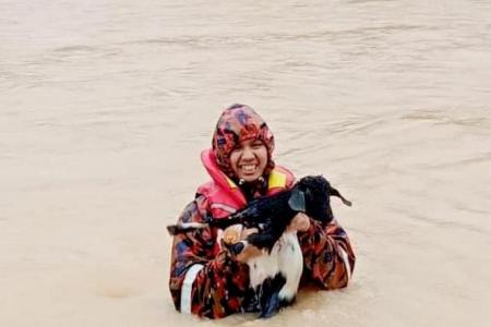 Fireman risks his life to rescue baby goat in Johor floods 