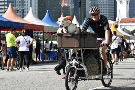 Car-Free Sunday marks return with more than 1,000 visitors after 4-year absence