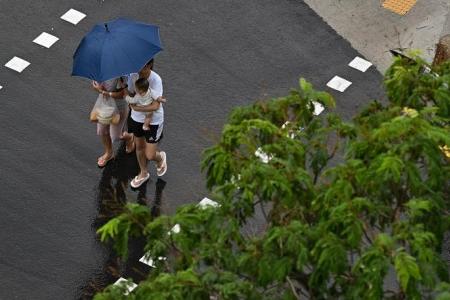 Afternoon thundery showers expected to continue for the rest of December