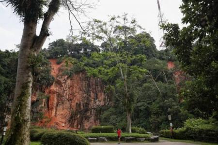 Mudslides off Bukit Batok Nature Park cliff ongoing for 2 months: Residents