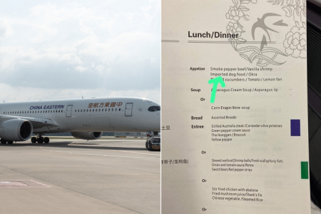 Coffee, tea, or imported dog food? China Eastern Airlines raises eyebrows with menu options