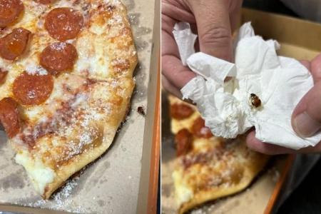 Diner spots cockroach crawling out from under Little Caesars pizza in the middle of the meal