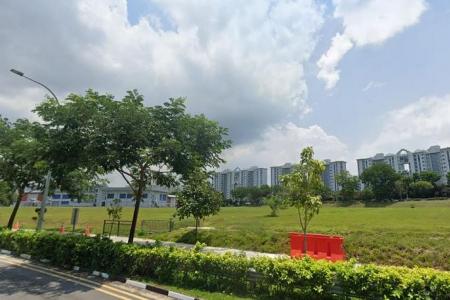 Executive condo site in Tampines Street 62 sets price record 