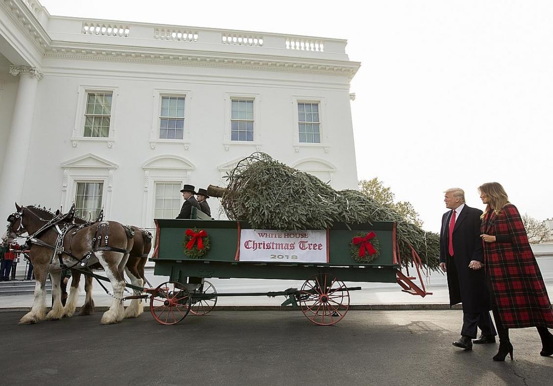 Melania Trump gives preview of White House Xmas decorations