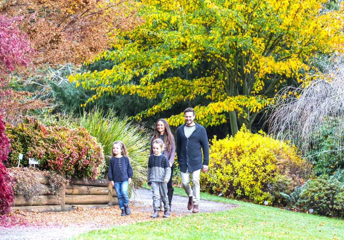 Best places to see autumn leaves in Sydney