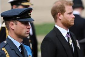 Prince Harry (right) has accused his elder brother Prince William of being part of media attacks.