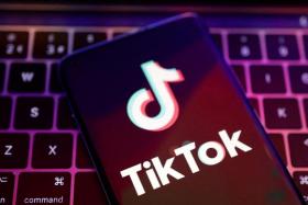 There could be &quot;stability issues from time to time&quot;, as TikTok Music is a Beta version, said the company. 