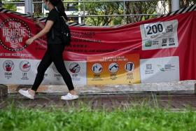 As at Nov 4, there were 8,437 dengue cases reported so far in 2023 – about a quarter of the 32,325 cases recorded in 2022.