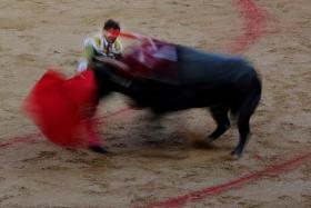 FILE PHOTO: Bullfighter Fernando Robleno is gored by a bull from the Jose Escolar Gil ranch during a bullfight at Sanfermines in Pamplona, Spain, July 8, 2023. REUTERS/Susana Vera/File Photo