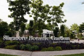 The police are aware of calls on social media to gather at the Singapore Botanic Gardens for such an event, and advise people not to do so.