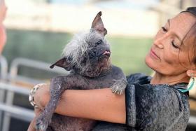 Jeneda Benally introduces her dog Mr Happy Face to a judge during the World&#039;s Ugliest Dog Competition.