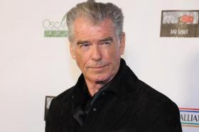 Pierce Brosnan was fined US$500 and required to pay a US$1,000 community service payment to the Yellowstone Forever Geological Fund.