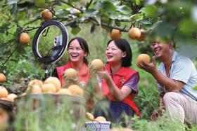 More than 870 million yuan (S$164 million) worth of farm produce was sold on the Kuaishou platform in 2022 through village live broadcasts, up 55 per cent year-on-year.