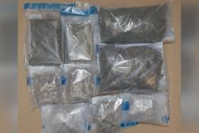 The seized drugs, which include 2.378kg of heroin, 4.199kg of cannabis and 223g of Ice, can feed the addiction of about 1,860 abusers for a week.