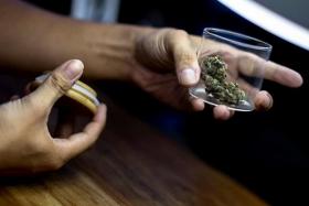 Thailand last week became the first Asian country to legalise the growing and private consumption of marijuana. 