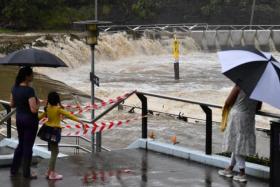 Floodwaters at the Parramatta Ferry jetty in Sydney on Feb 22, 2022. 