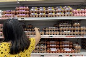 FairPrice also said it has given its housebrand eggs a discount of 55 cents, which will last till April 27, 2022.