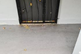 The woman admitted to throwing various objects at her neighbour&#039;s unit, seen here with eggs splattered around its door.