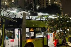 The SBS Transit double-decker bus hit a tree branch, resulting in a large part of its roof getting ripped off. 