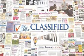ALL YOU NEED: A preview of the TNP Classified ads.
