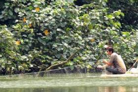 ILLEGAL: The poachers, who were on what appeared to be a big piece of styrofoam, used a drift net to catch the fish.