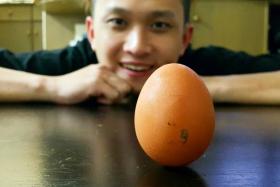 Can you do it?: Folklore has it that eggs can stand upright on Li Chun (the beginning of spring) during the first two days of the Lunar New Year, which is on Feb 4 and 5.