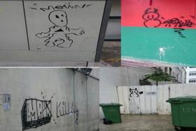 Some of the vandalised public property.