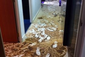 MESS: Madam Fadilah’s newly renovated flat covered in waste matter.