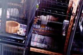 POOR CONDITIONS: Animal welfare group Acres&#039; undercover investigation revealed that some pet shops failed to meet the conditions for basic animal welfare by providing cages that are too small (above)