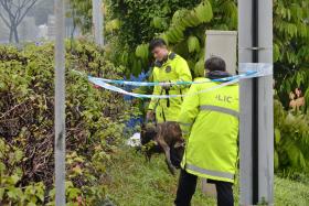DEAD: The body of Mr Ow Lew Bin was found in the grass next to the Bukit Timah Expressway.