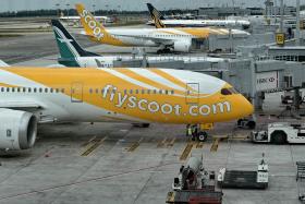 Boeing 787 Dreamliner aircraft operated by Scoot at Changi Airport
