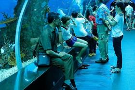 LEGAL ACTION: Mr Ignatius Tan suffered injuries after his left leg was trapped between a travellator and a wall at the S.E.A Aquarium (above).