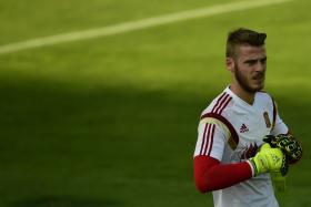 MEND: David de Gea’s first task is to rebuild his relationship with the Man United fans, who were once resigned to him leaving.