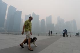 Haze conditions outside Marina Bay Sands at 5.30pm on Thursday