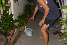 FEUD: Madam Ng (above) found her potted plants doused with bleach. 