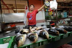 AFFECTED: Fishmongers at Chinatown Complex like Mr Yew Wing Fatt (above) and Mr Malcolm Wong said that business has dropped since the National Environment Agency (NEA) announced the ban on freshwater fish in all raw fish dishes.
