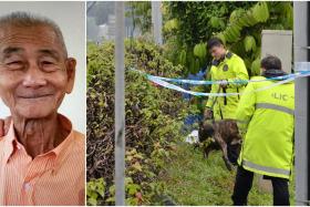 Mr Ow Lew Bin, 77, was found dead in a drain beside the BKE in June last year after going missing for 12 days.