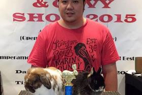 CHAMPIONS: (Above) Mr Alfie Toh, the manager of Rabbit Headquarters, with the Holland Lop rabbit (left), which was top rabbit at the National Rabbit &amp; Cavy Show 2015, and BO (right), the Netherland Dwarf rabbit that won second place.