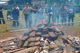 Authorities in Indonesia burning marijuana which they had seized in a drug bust in West Jakarta.