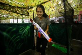 HAVE A BLAST: From March 18 to 20, enjoy fun games such as shooting in the Nerf Blaster Arena (above) at TNP Readers&#039; Carnival.