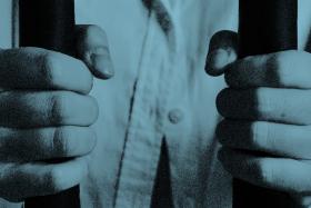 Man jailed for cheating via dark web