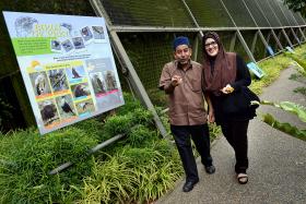 SWEET: (From left) Mr Abdul Wahid and Madam Latifah plan to celebrate their 30th wedding anniversary at the Bird Park this November. 