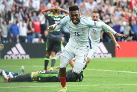 SAVIOUR: Daniel Sturridge&#039;s (above) late winner giving England manager Roy Hodgson and their fans something to celebrate.  