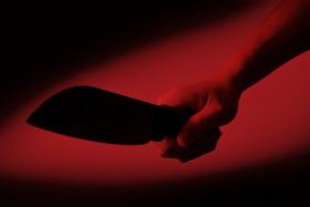 Woman in India stabs husband for refusing to take her to S'pore