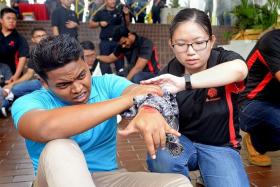 USEFUL SKILLS: Ms Chew Si Hui (wearing glasses) demonstrating how to treat an injury.