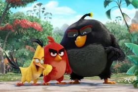 HIT: The Angry Birds Movie is one of the many films with animals to dominate the box office in the past few months.